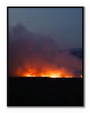 Poster “Línea de Fuego” de BORRO