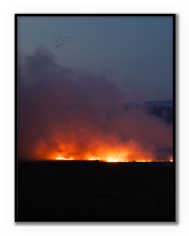 Poster “Línea de Fuego” de BORRO