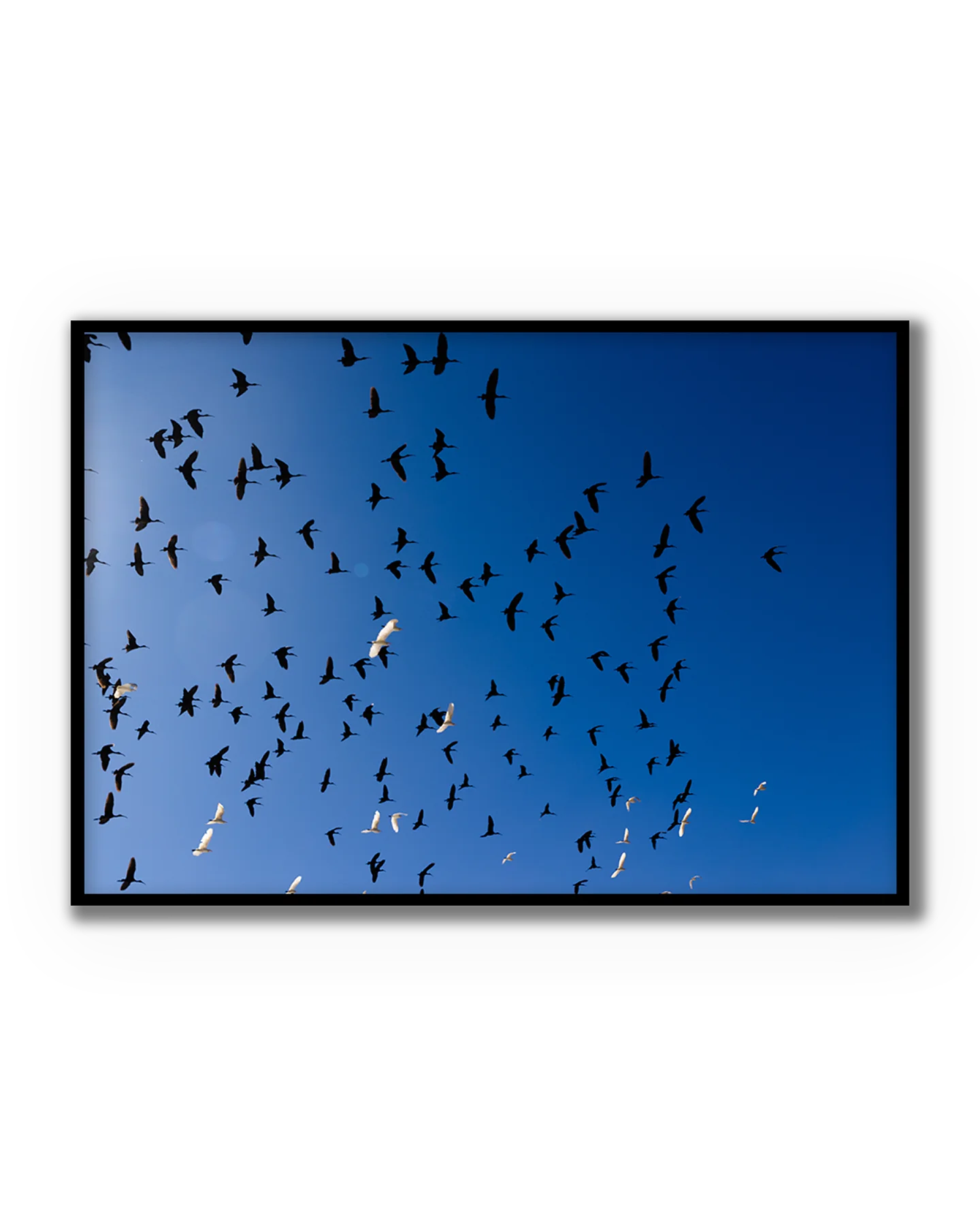 Vuelo Abierto