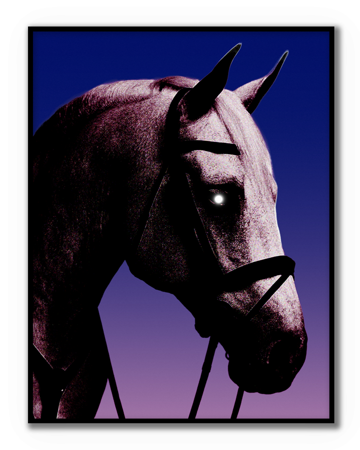 Obra contemporánea Nocturno de BORRO con retrato oscuro de caballo y estética cinematográfica