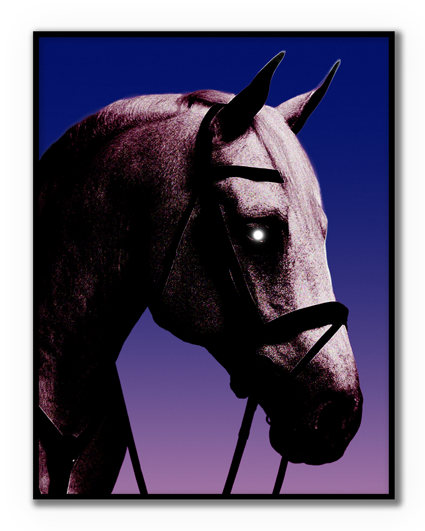 Dark Horse